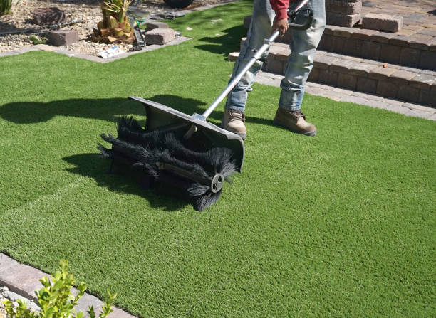 Miami landscaping design