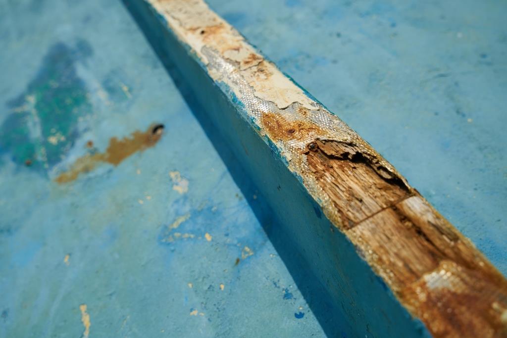 Termite Damage Repair