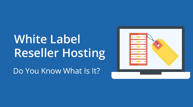Web Hosting for Reseller Businesses in Dubai: White Label Hosting Solutions