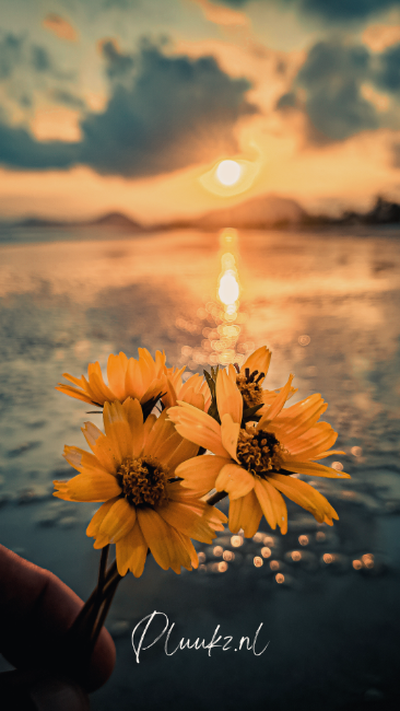 bloemen bezorgen
