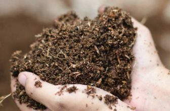Organic Solid Waste Management