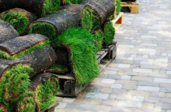 sod installation Carmel IN