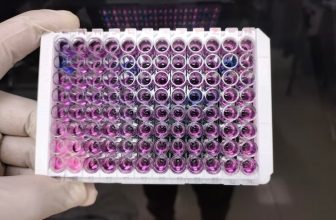 Magnetic Protein A Beads