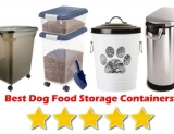 What Makes Bestdogfood So Advantageous?