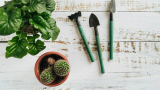 Essential Garden Hand Tools in the UK – A Comprehensive Guide