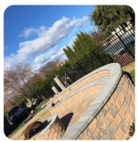 Essential Guide to Achieving the Greenest Yard in Monmouth County