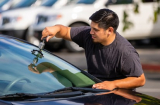 The Impact of Small Cracks: How Windshield Damage Compromises Your Drive