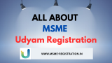 MSME Registration and Access to Government Schemes and Subsidies