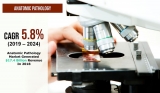 Awareness of Early Disease Diagnosis To Propel Anatomic Pathology Product Demand