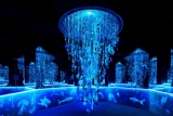 Arcadia Earth is the NYC Exhibit Everyone Should See | Essential Homme Magazine