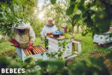 Bee Suit vs. Everyday Clothing: Debunking Myths and Realities