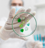 Guardians of Roots: Harnessing Bio Nematicides for Healthy Plant Growth