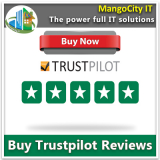 How do Trustpilot reviews perform for your business?