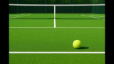 Pickleball Court Flooring: Complete Guide to Surface Types, Materials, Cost & Installation (2026)