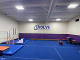 Why 3D Wall Murals Are the Ultimate Interior Upgrade for Davenport Businesses