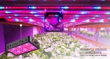 Brightening the Future of Horticulture: Unveiling the Booming Growth of the Grow Lights Market