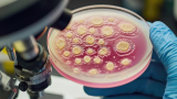 How to Assess HCP Antibody Reactivity Before Analytical Use?