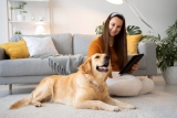 How to Help Pets Adjust to a New Home