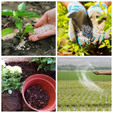 Controlled Release Fertilizers Market Size, Application, Growth – 2030