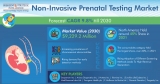 Non-Invasive Prenatal Testing Market To Generate $9,229.2 Million Revenue by 2030