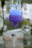 Protein A Resins: Everything You Need to Know