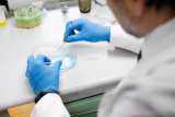 Why Protein Purification Affinity Chromatography Minimizes Loss