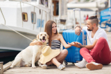Tips For Travelling With Pets