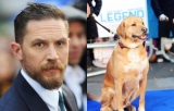 Venom Star Tom Hardy Voted World’s Hottest Dog Lover 2019