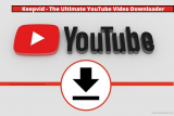 Download Videos from Multiple Sites with Keepvid