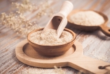 Global Albumin Market And Development (R&D) In The Forecast Period Of 2022-2027