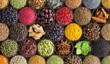 Chili Condiment Market to Show Incredible Growth and Forecast by 2028