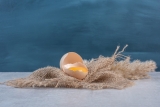 Shell Eggs Market 2022-2028 | Growth Research by Top Players, Development Plans, Future Trends, Size and Share Forecast