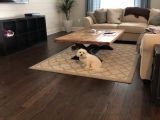 Here Is All You Need To Know About Vinyl Flooring, A Comprehensive Guide