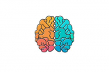 What does IQ test mean?