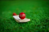 Everything you need to know about cricket