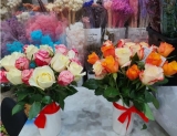 “Blooms and Wonders: Discover the Magic of Naz Flowers and Gifts!”