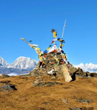 The Flora and Fauna of Pikey Peak: Exploring the Region’s Biodiversity – Dolpo Caravan