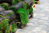 What You Need to Know About Sod Installation and Water Drainage in Carmel, IN