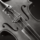 Stringed Instruments of the Renaissance