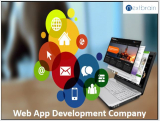 Top advantages of choosing a web application development company for your business