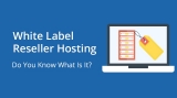 Web Hosting for Reseller Businesses in Dubai: White Label Hosting Solutions